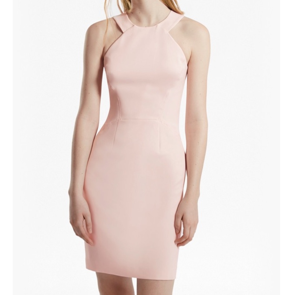 NWT French Connection Blush Pink Dress
